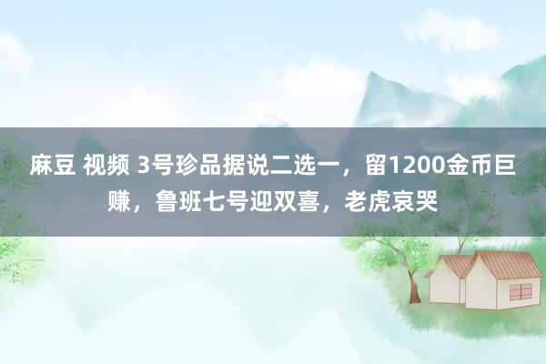 麻豆 视频 3号珍品据说二选一，留1200金币巨赚，鲁班七号迎双喜，老虎哀哭