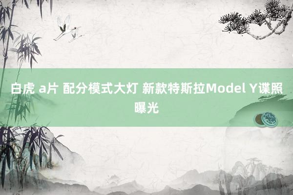 白虎 a片 配分模式大灯 新款特斯拉Model Y谍照曝光