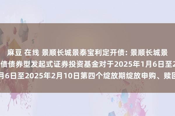 麻豆 在线 景顺长城景泰宝利定开债: 景顺长城景泰宝利一年依期绽放纯债债券型发起式证券投资基金对于2025年1月6日至2025年2月10日第四个绽放期绽放申购、赎回业务的公告