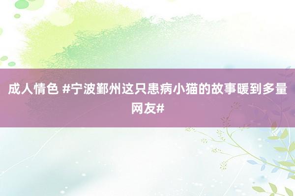 成人情色 #宁波鄞州这只患病小猫的故事暖到多量网友#