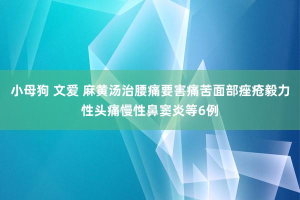 小母狗 文爱 麻黄汤治腰痛要害痛苦面部痤疮毅力性头痛慢性鼻窦炎等6例