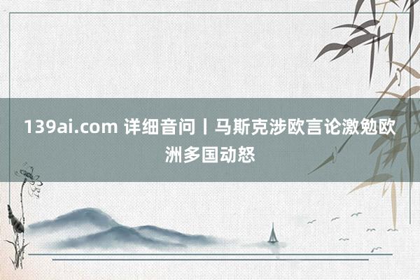 139ai.com 详细音问丨马斯克涉欧言论激勉欧洲多国动怒