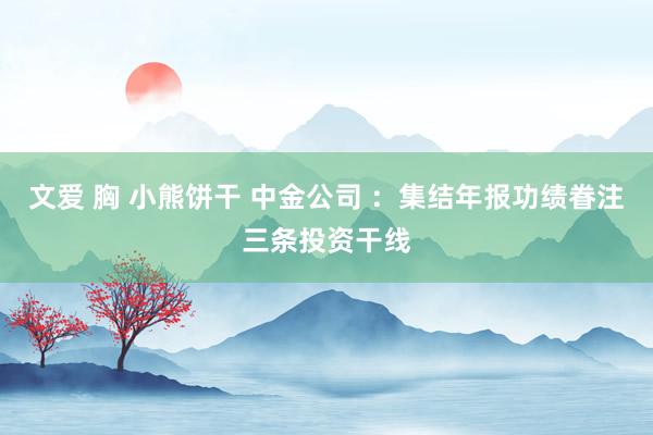 文爱 胸 小熊饼干 中金公司 ：集结年报功绩眷注三条投资干线