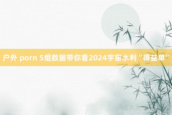 户外 porn 5组数据带你看2024宇宙水利“得益单”