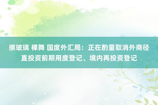 擦玻璃 裸舞 国度外汇局：正在酌量取消外商径直投资前期用度登记、境内再投资登记