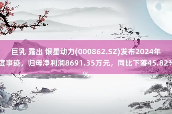 巨乳 露出 银星动力(000862.SZ)发布2024年度事迹，归母净利润8691.35万元，同比下落45.82%